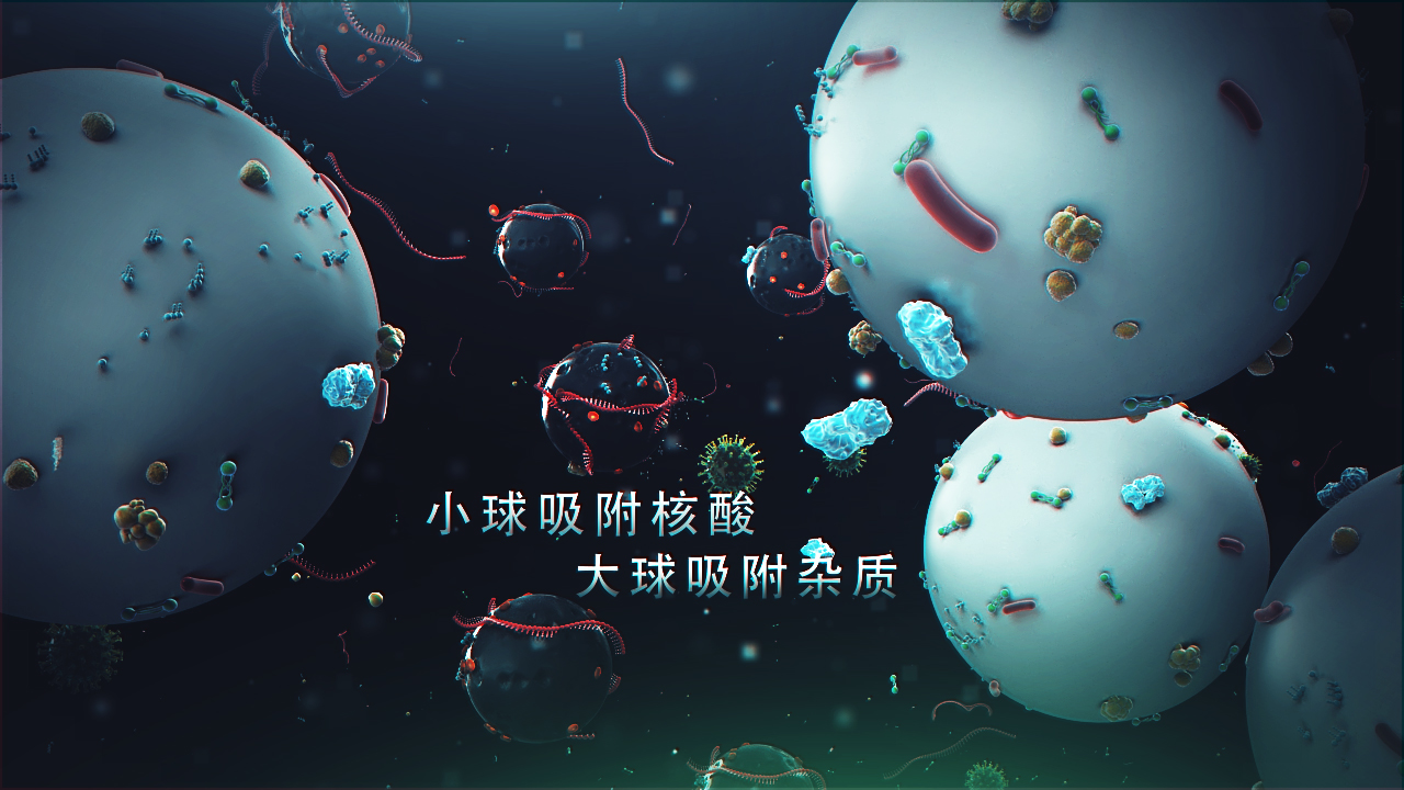 邁維動(dòng)漫簽約上海速創(chuàng )診斷產(chǎn)品有限公司冠狀病毒檢測醫學(xué)醫療三維動(dòng)畫(huà)制作(圖3) 邁維動(dòng)漫簽約上海速創(chuàng )診斷產(chǎn)品有限公司冠狀病毒檢測醫學(xué)醫療三維動(dòng)畫(huà)制作(圖3)