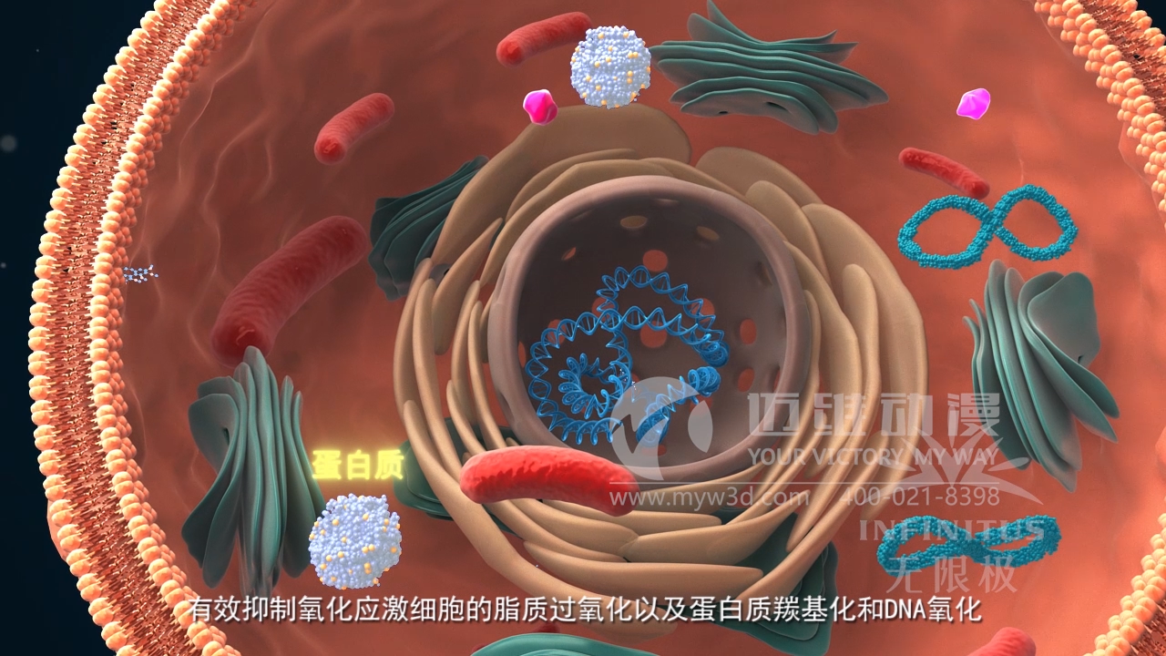 醫學(xué)醫療三維動(dòng)畫(huà)制作公司 醫學(xué)醫療三維動(dòng)畫(huà)制作公司