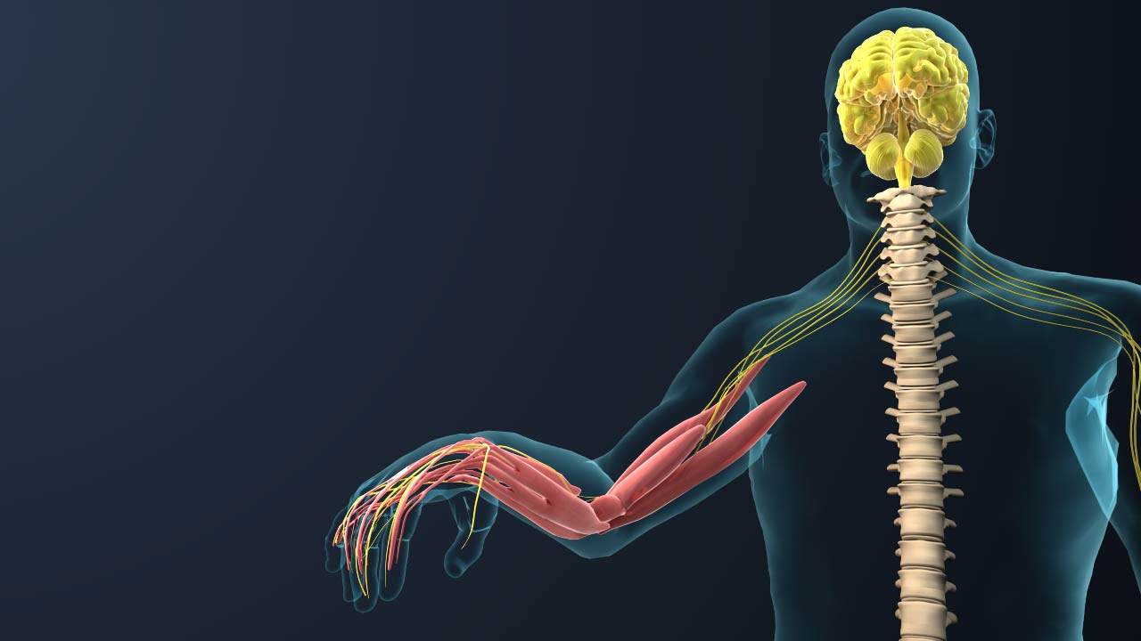 人體手術(shù)三維動(dòng)畫(huà).jpg 人體手術(shù)三維動(dòng)畫(huà).jpg