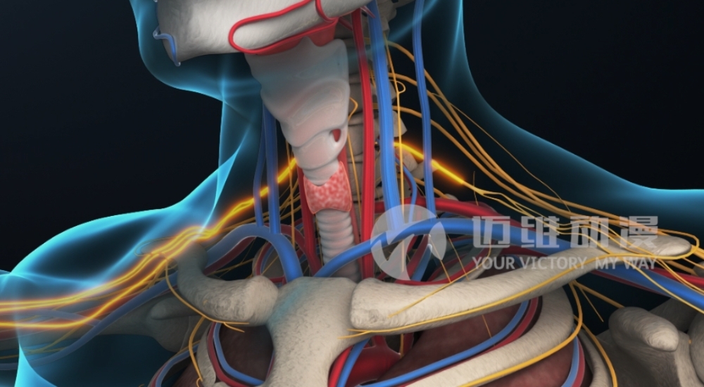 火爆出圈的“三維動(dòng)畫(huà)”，能為醫學(xué)行業(yè)發(fā)展帶來(lái)哪些機遇？(圖3)