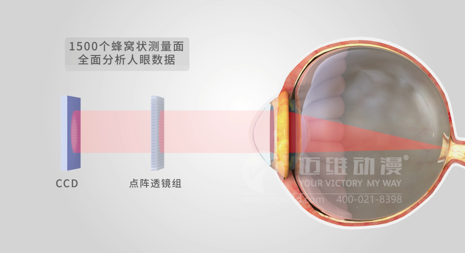 三維動(dòng)畫(huà)設計制作的重要步驟有哪些?(圖4)