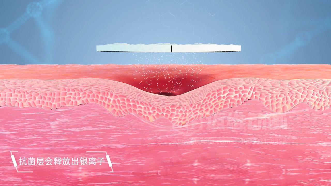 從實(shí)驗室到手術(shù)室：邁維動(dòng)漫用三維動(dòng)畫(huà)，讓精密科技“看得見(jiàn)，懂得到”訂單轉化率提高 50%(圖17)