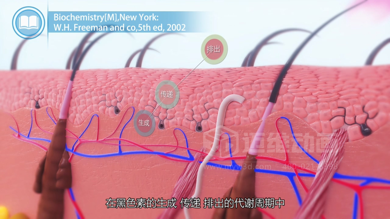 醫學(xué)科普從來(lái)不是 “天書(shū)”：三維動(dòng)畫(huà)讓復雜科學(xué)原理輕松 get！(圖2)