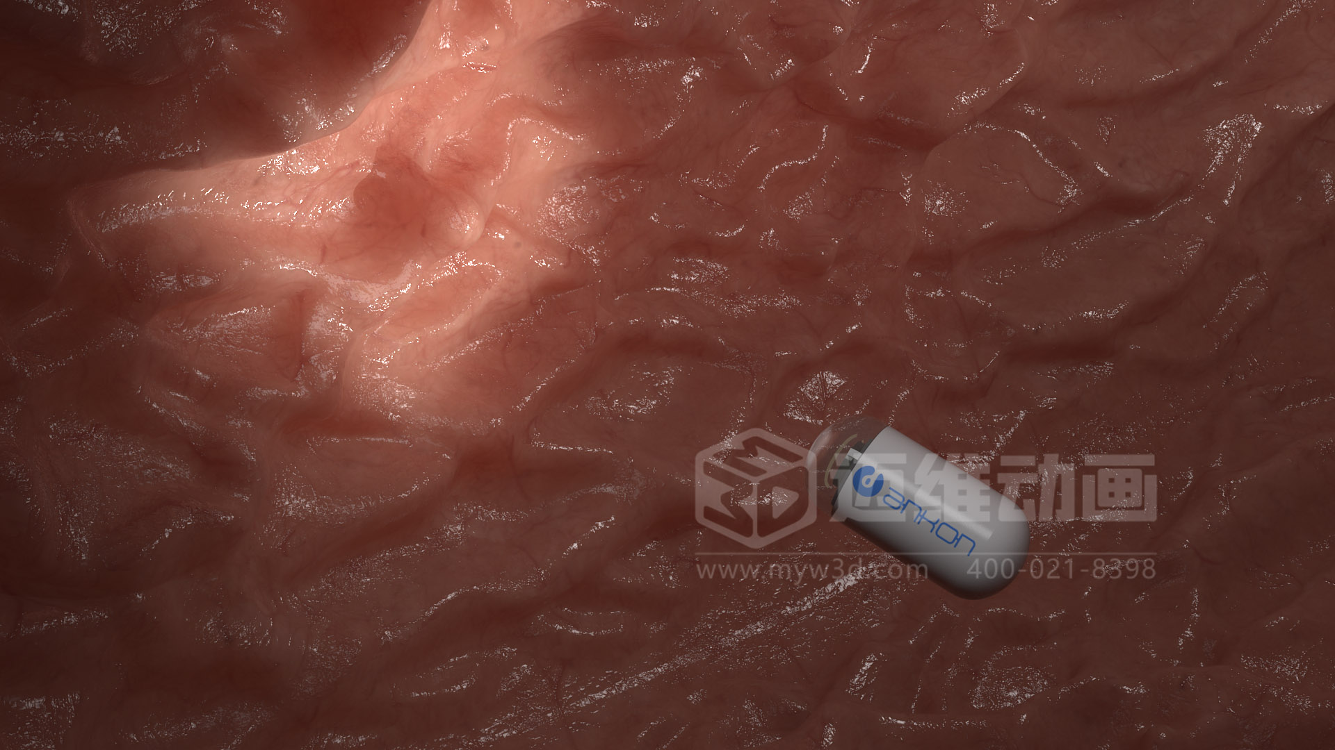 磁控膠囊機器人三維動(dòng)畫(huà)(圖6) 磁控膠囊機器人三維動(dòng)畫(huà)(圖6)