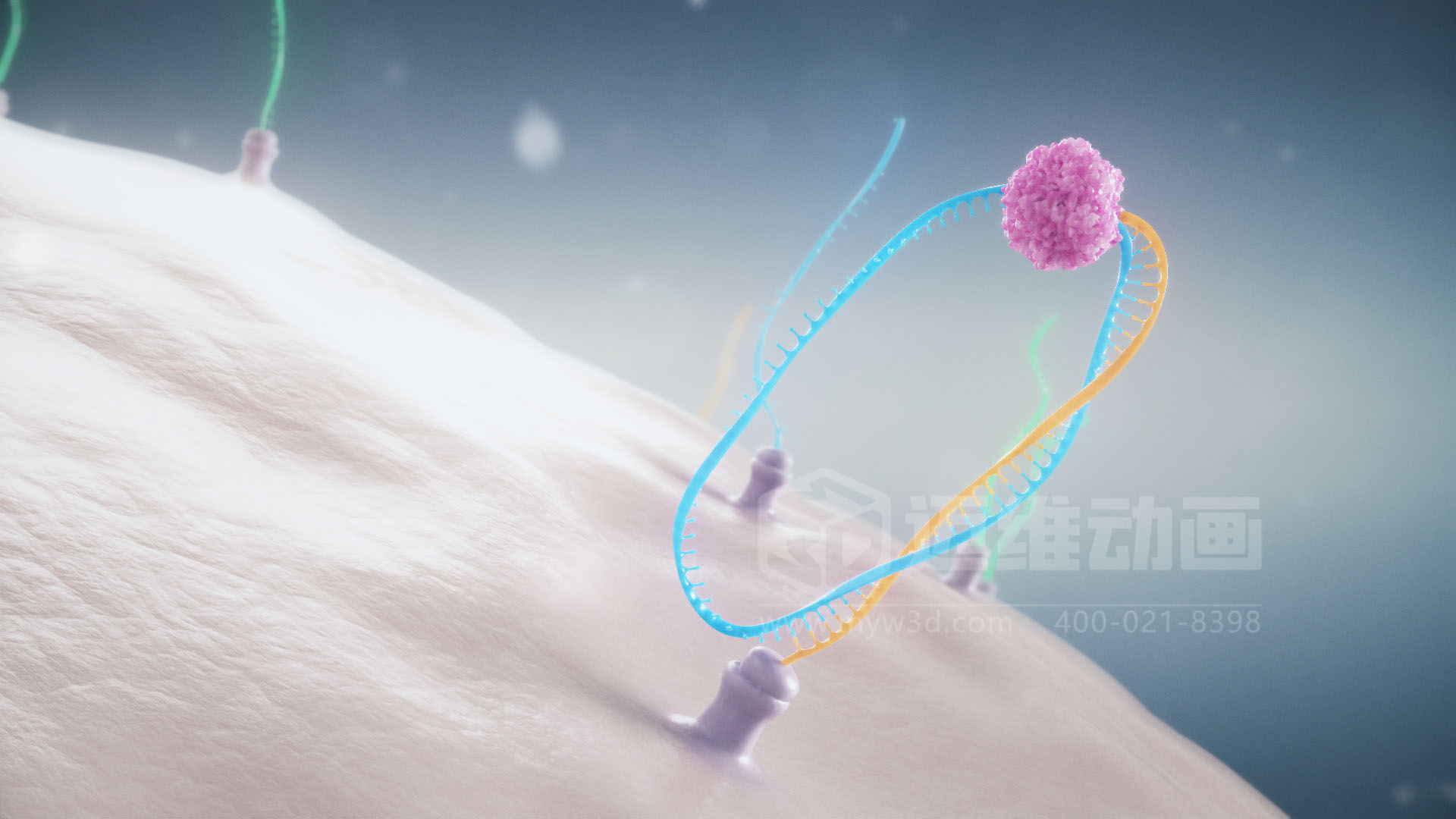 醫療分子生物學(xué)三維動(dòng)畫(huà)(圖3) 醫療分子生物學(xué)三維動(dòng)畫(huà)(圖3)