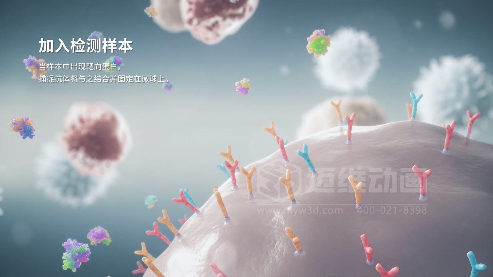 微觀(guān)世界竟能“動(dòng)”起來(lái)？生物科技三維動(dòng)畫(huà)帶你沉浸式探索生命奧秘(圖2)